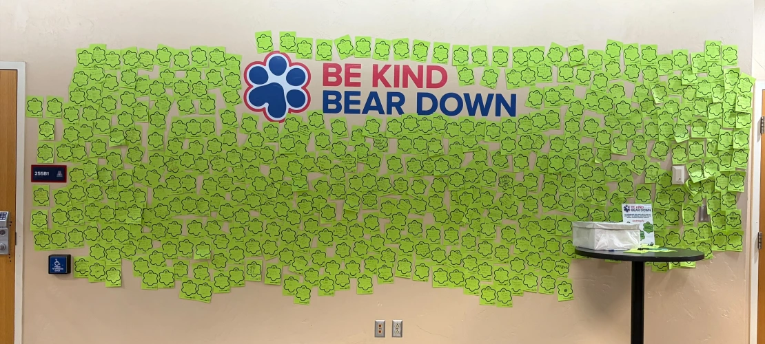 Be Kind Bear Down Wall Student Union
